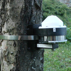 Dendromètre à bande d'enregistrement DRL26