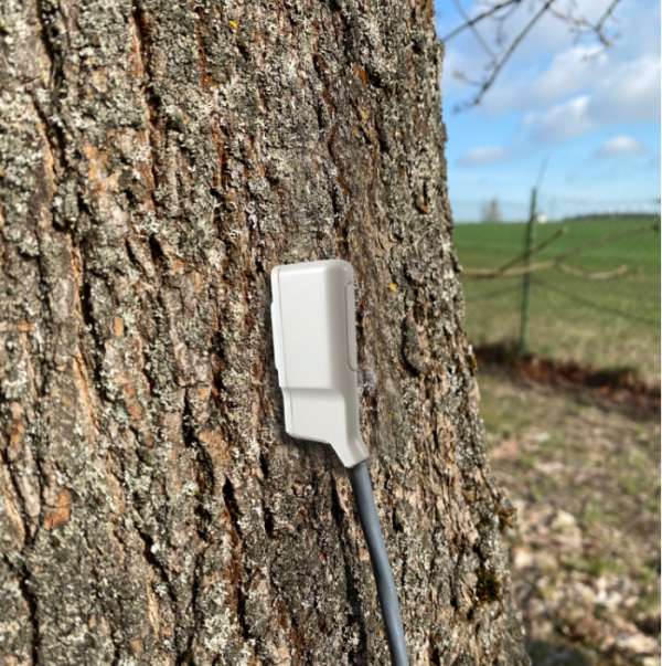 SFM5 Sap flow sensor Hoskin Scientific