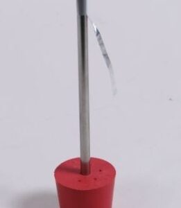 A model of an electroscope